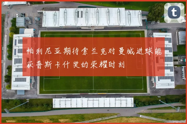 帕利尼亚期待索兰克对曼城进球能获普斯卡什奖的荣耀时刻