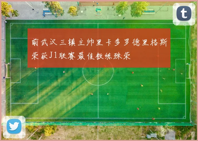 前武汉三镇主帅里卡多罗德里格斯荣获J1联赛最佳教练殊荣