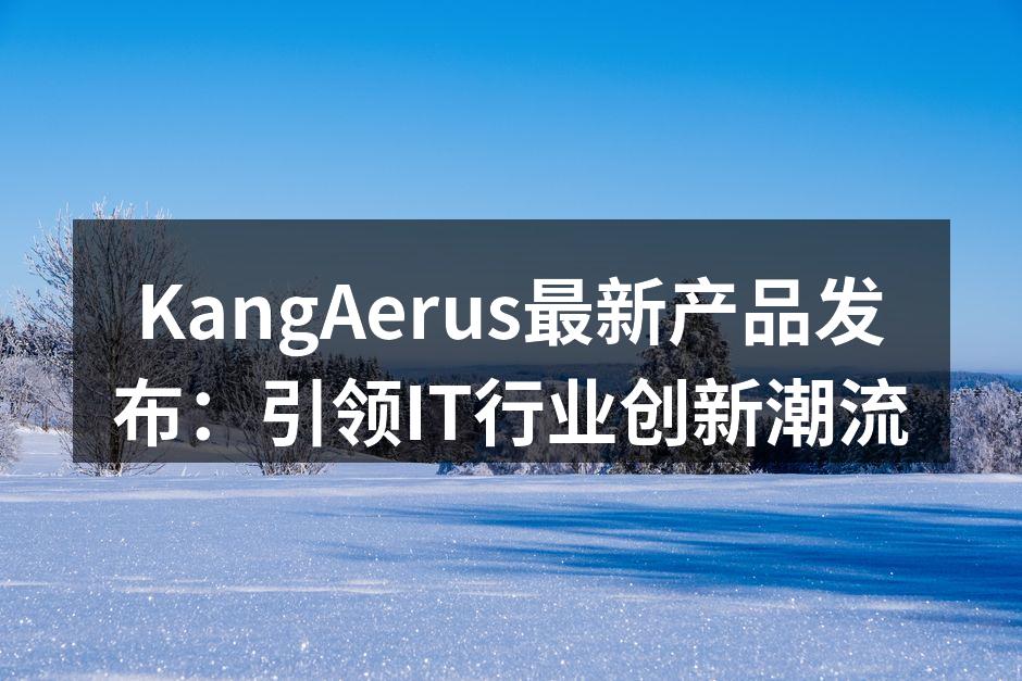 KangAerus最新产品发布:引领IT